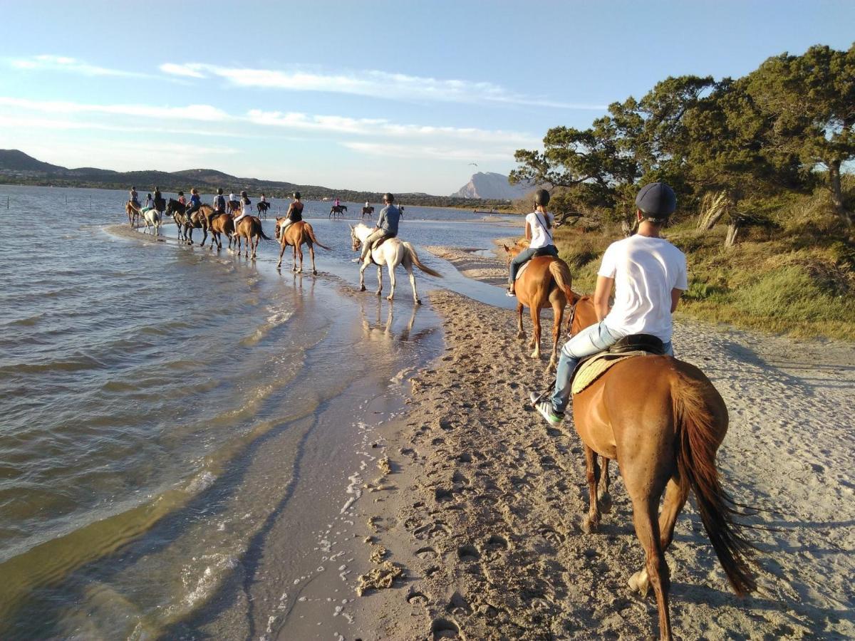 Appartamento Sette Posti Vicino Al Centro Di San Teodoro San Teodoro  Kültér fotó